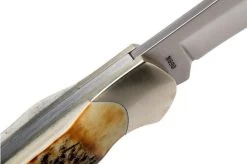 Böker Junior Scout 111910 Stag, Pocket Knife -Optimal Knife Shop BO111910 06 boker