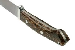 Bark River Classic Drop Point Hunter CPM S45VN Smoke Prickly Pear Natural Liner, Fixed Knife -Optimal Knife Shop BRK02 176SPPNL 04 barkriver