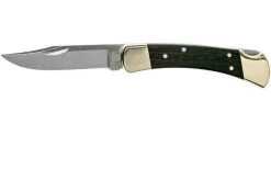 Buck 110 Folding Hunter