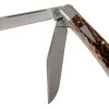 Case HT Trapper, Brown Bone, 154CM, Peach Seed Jig, 10774, TB622021 Pocket Knife, Tony Bose Design -Optimal Knife Shop CE10774 01 case