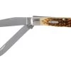 Case Trapper Amber Jigged Bone, 00164, 6254 SS Pocket Knife -Optimal Knife Shop CE164 01 case ce164 01