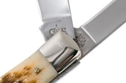 Case Trapper Amber Jigged Bone, 00164, 6254 SS Pocket Knife 16 Case Trapper Amber Jigged Bone, 00164, 6254 SS Pocket Knife -Optimal Knife Shop CE164 06 case ce164 06