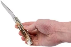 Case Trapper Amber Jigged Bone, 00164, 6254 SS Pocket Knife 19 Case Trapper Amber Jigged Bone, 00164, 6254 SS Pocket Knife -Optimal Knife Shop CE164 09 case ce164 09