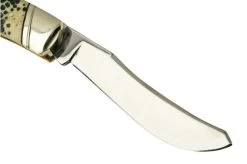 Rough Ryder Buckshot Bone Large Moose, RR2320 Pocket Knife -Optimal Knife Shop RY2320 03 roughryder